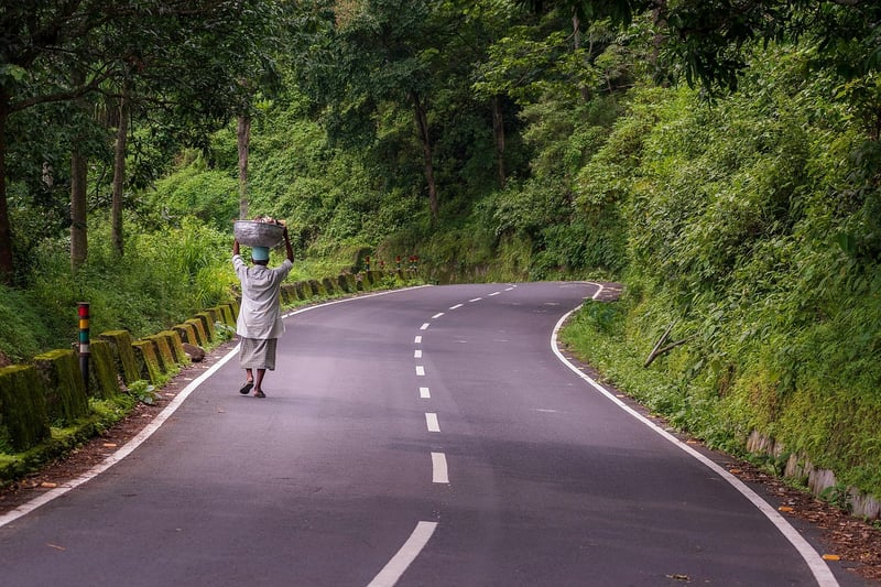 Journey Ahead