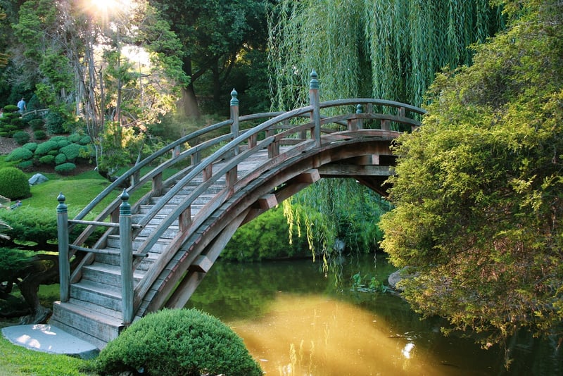 Zen Garden